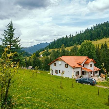 Khata Lisnyka Verkhovyna Bagian luar foto