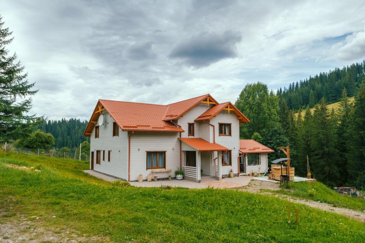 Khata Lisnyka Verkhovyna Ruang foto